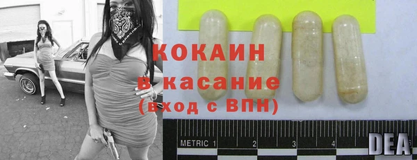 дмт Алексин