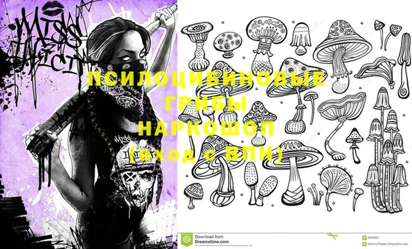 дмт Алексин